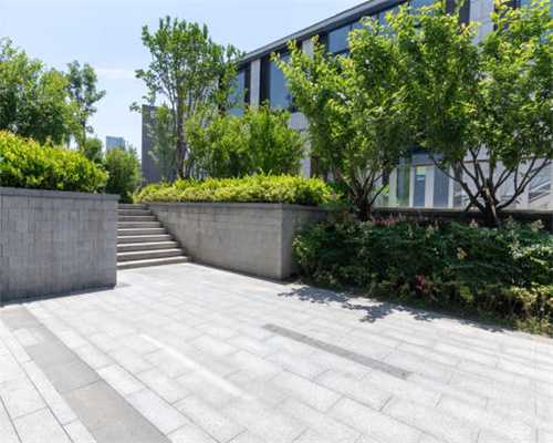 差生“串台”作业走红，新学科差点诞生了，打0分都怕他太骄傲