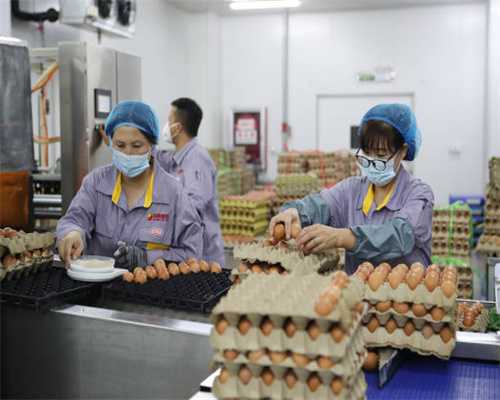 立案调查，停业整顿！知名品牌紧急道歉